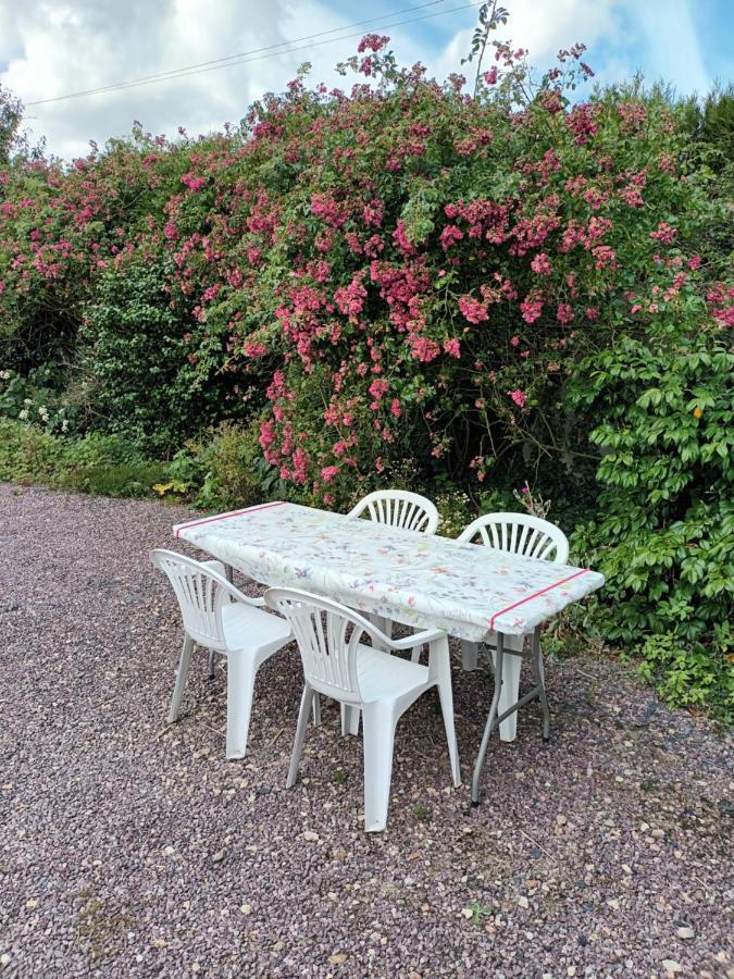 Ecrin De Fleurs Et Verdure *